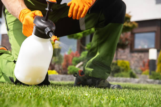 Reliable Bourbonnais, IL Pest Control Solutions