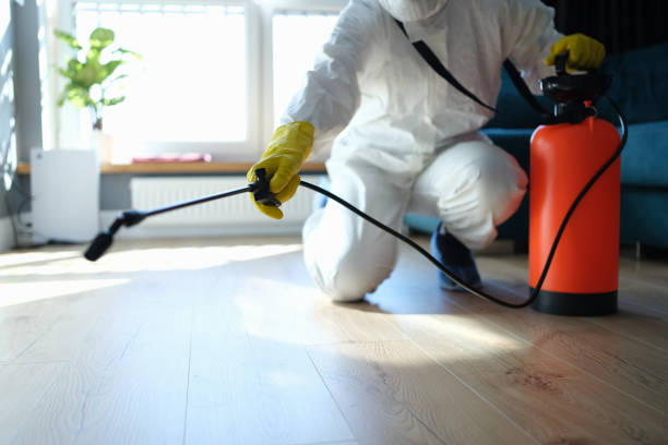 Wildlife Control Services in Bourbonnais, IL