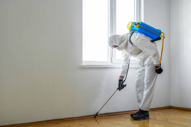 Best Pest Control Near Me in Bourbonnais, IL