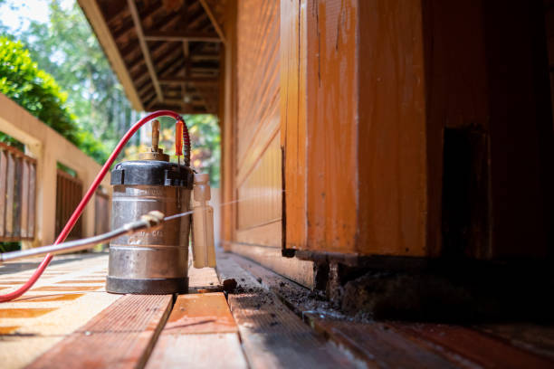 Best Best Pest Control Companies  in Bourbonnais, IL