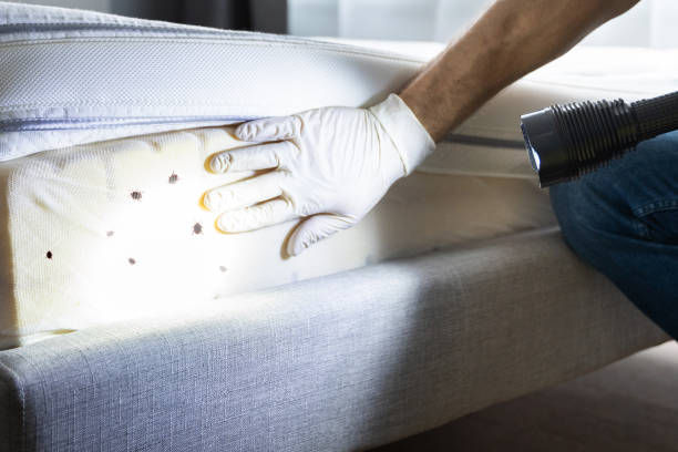 Best Pest Inspection Near Me  in Bourbonnais, IL
