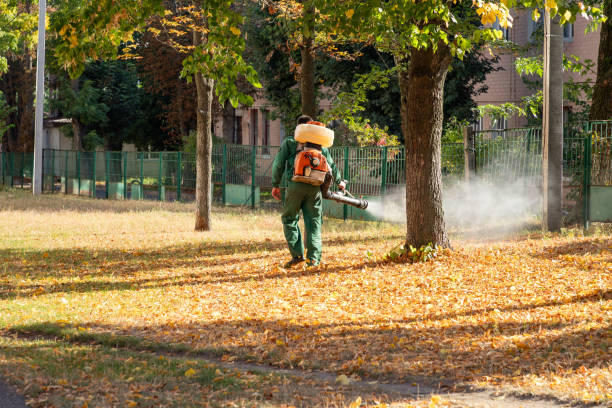 Best Pest Removal Services  in Bourbonnais, IL