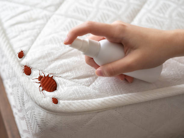 Best Pest Prevention Services  in Bourbonnais, IL
