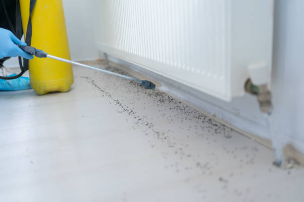 Best Cockroach Control Services  in Bourbonnais, IL