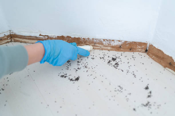 Best Pest Inspection Near Me  in Bourbonnais, IL